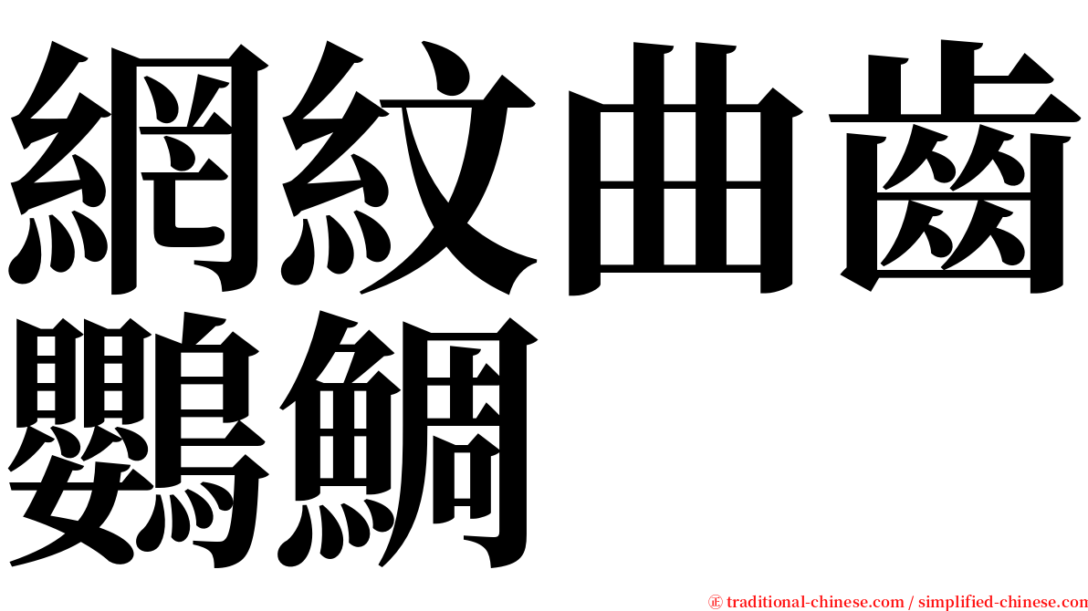 網紋曲齒鸚鯛 serif font