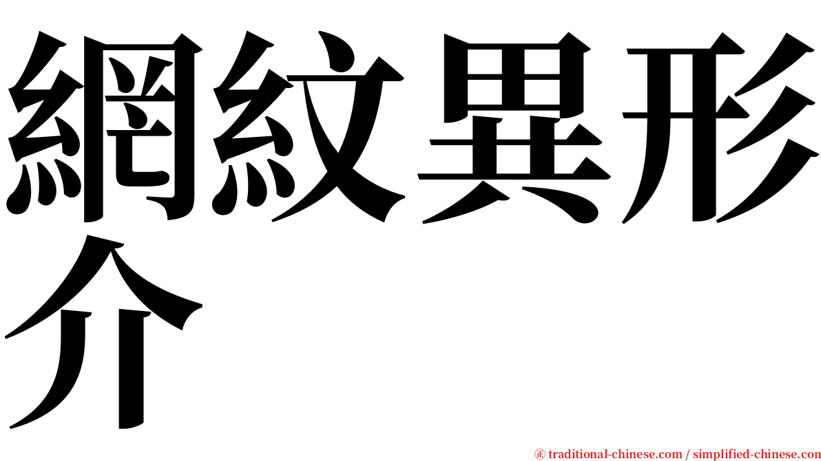 網紋異形介 serif font