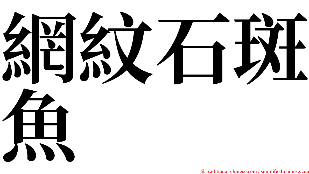 網紋石斑魚 serif font