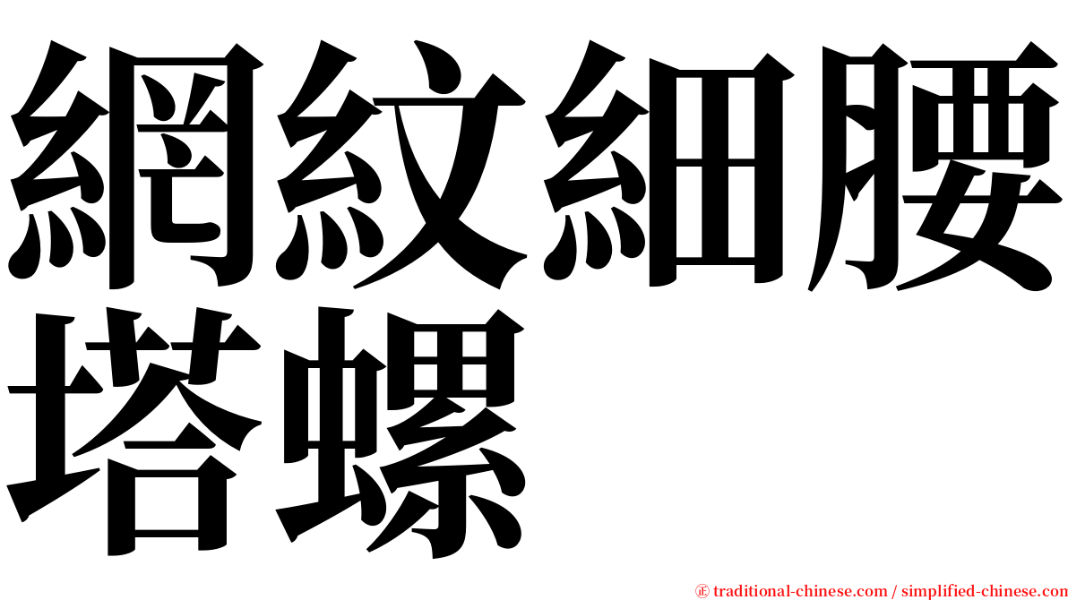 網紋細腰塔螺 serif font