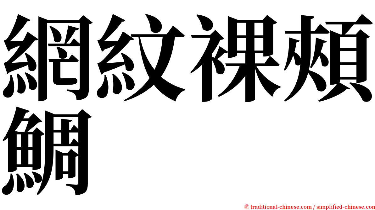 網紋裸頰鯛 serif font