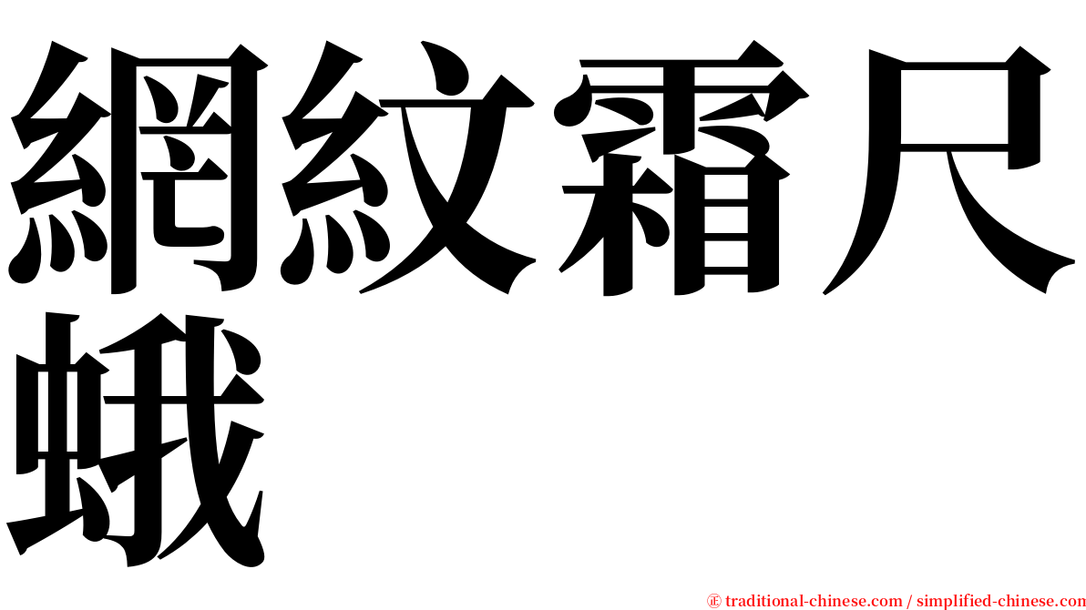 網紋霜尺蛾 serif font