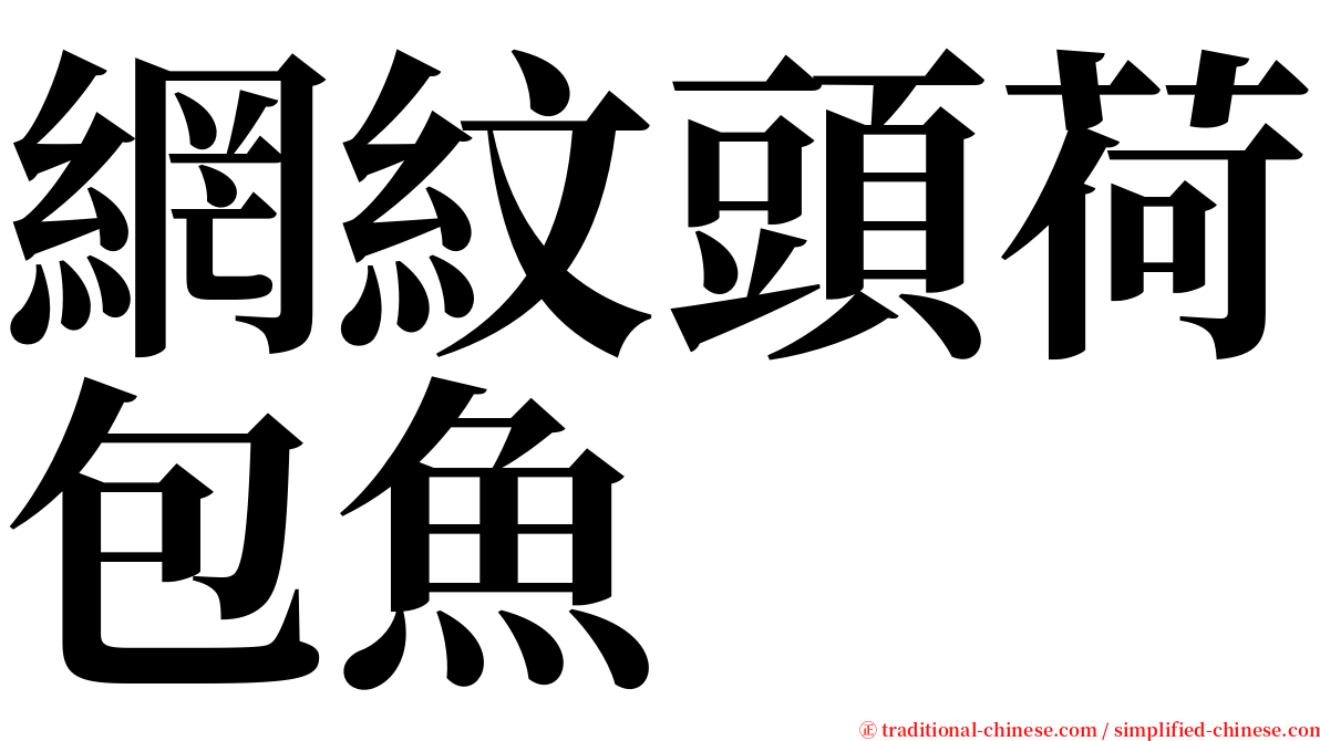 網紋頭荷包魚 serif font