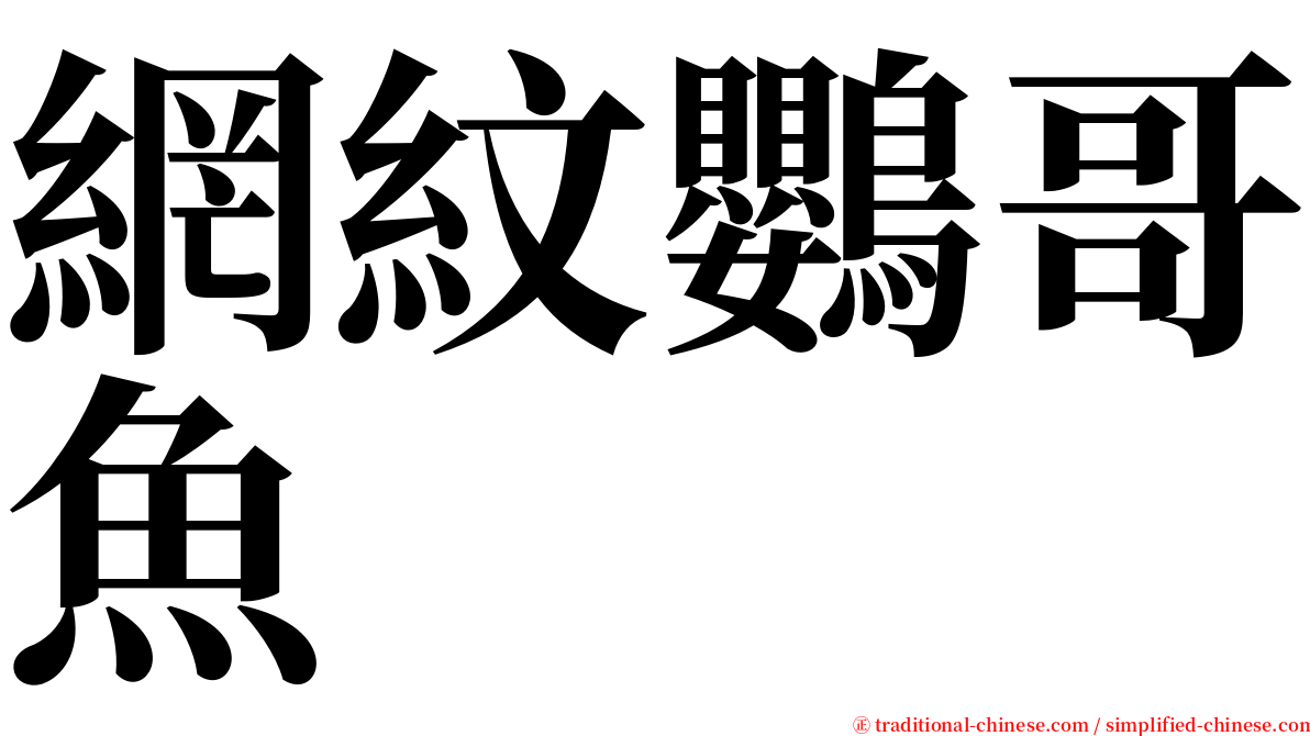 網紋鸚哥魚 serif font