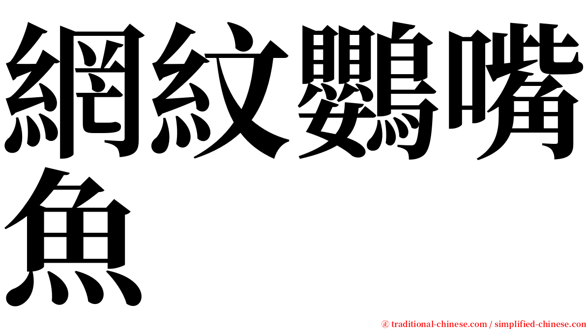 網紋鸚嘴魚 serif font