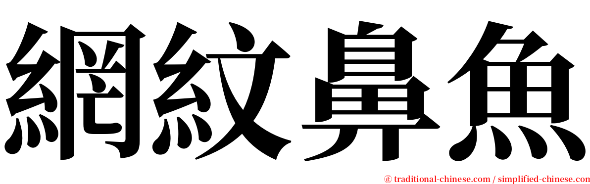 網紋鼻魚 serif font