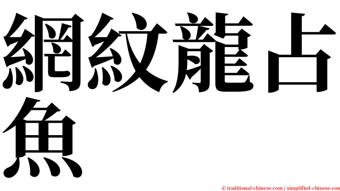 網紋龍占魚 serif font