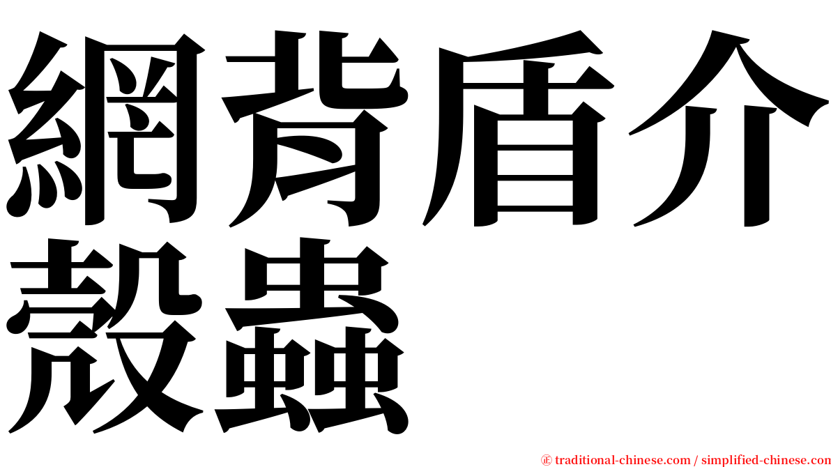 網背盾介殼蟲 serif font