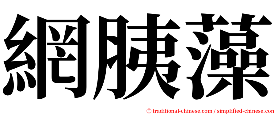 網胰藻 serif font