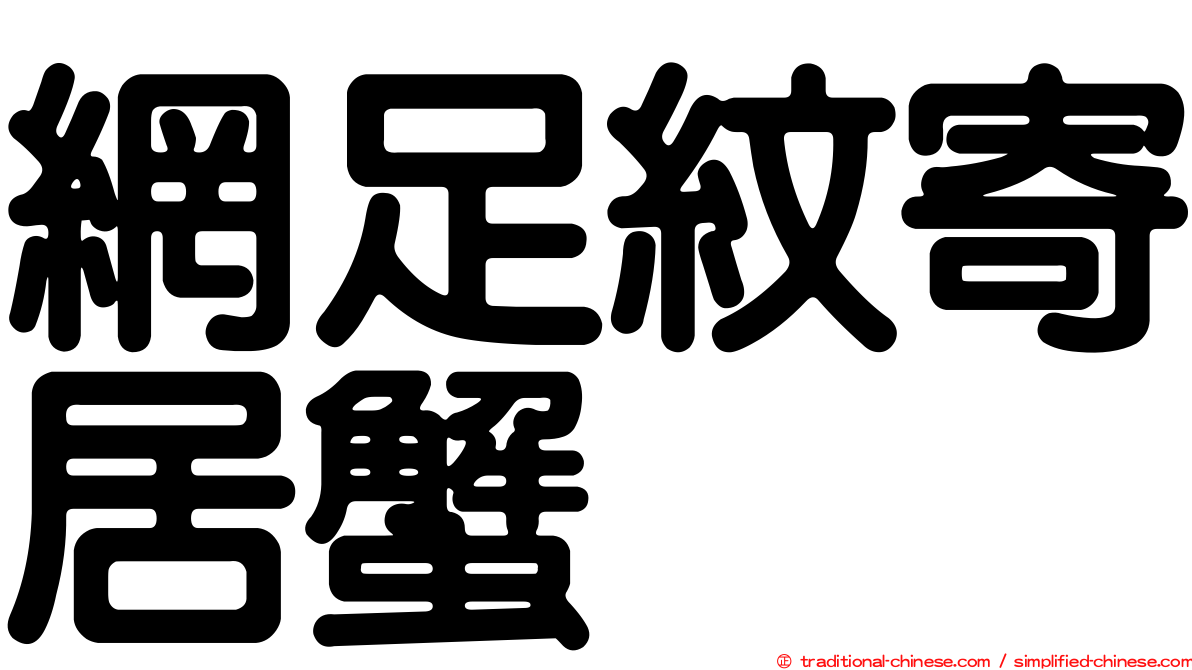 網足紋寄居蟹