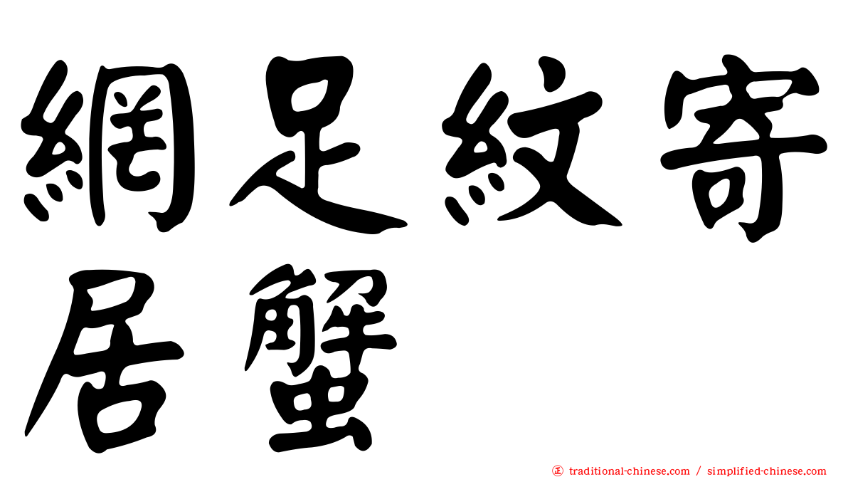 網足紋寄居蟹