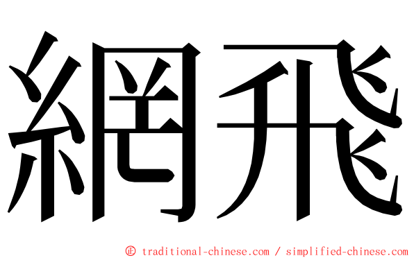 網飛 ming font