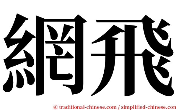 網飛 serif font