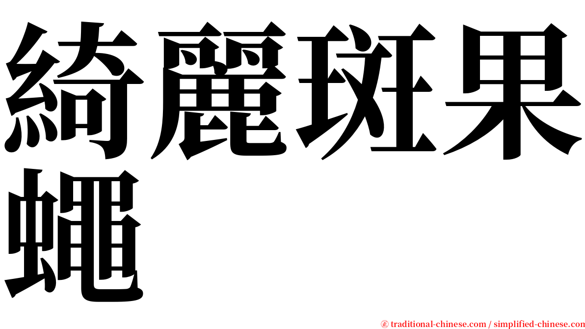 綺麗斑果蠅 serif font