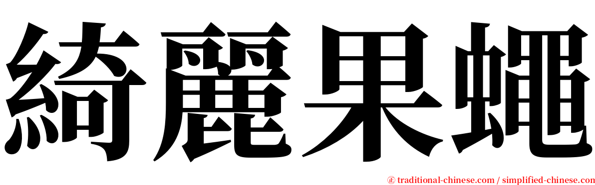 綺麗果蠅 serif font