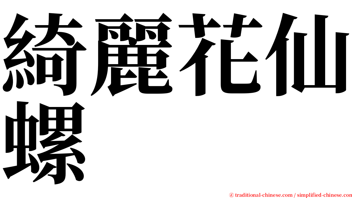 綺麗花仙螺 serif font