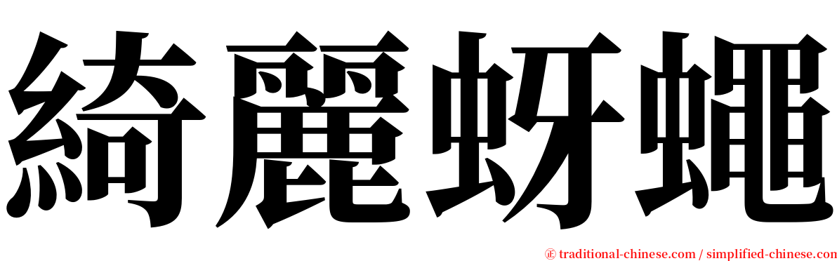 綺麗蚜蠅 serif font