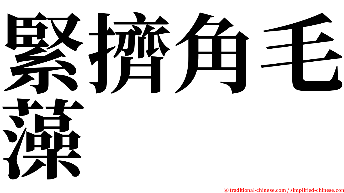 緊擠角毛藻 serif font