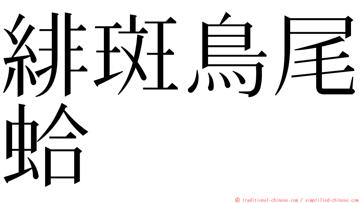 緋斑鳥尾蛤 ming font