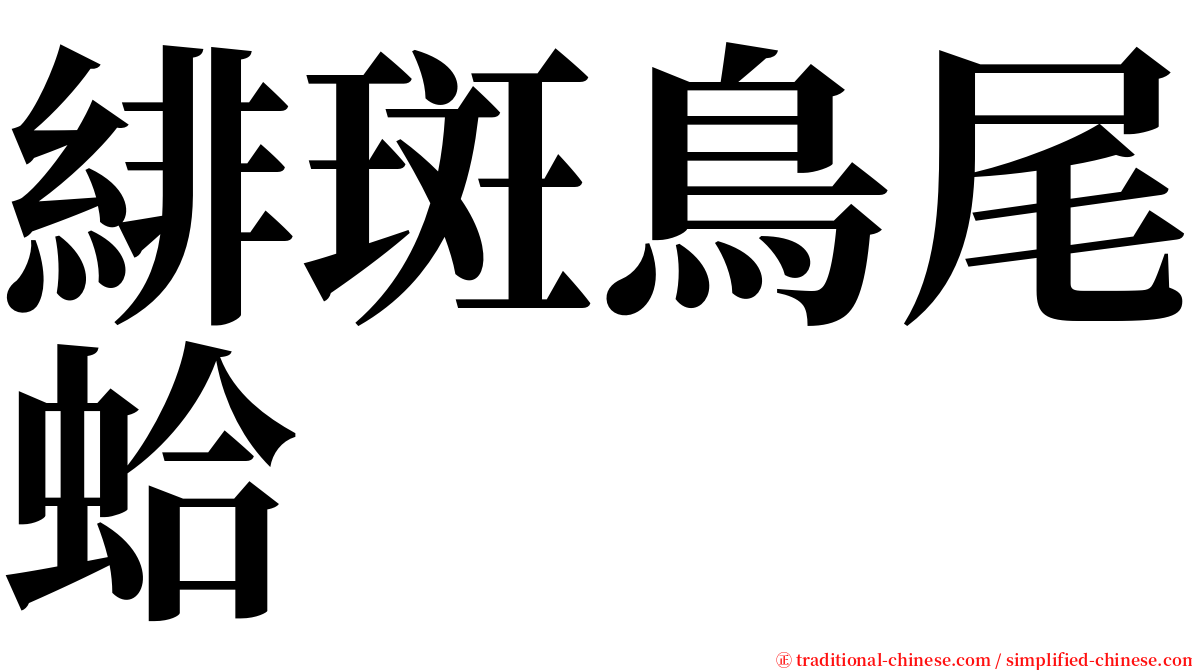 緋斑鳥尾蛤 serif font