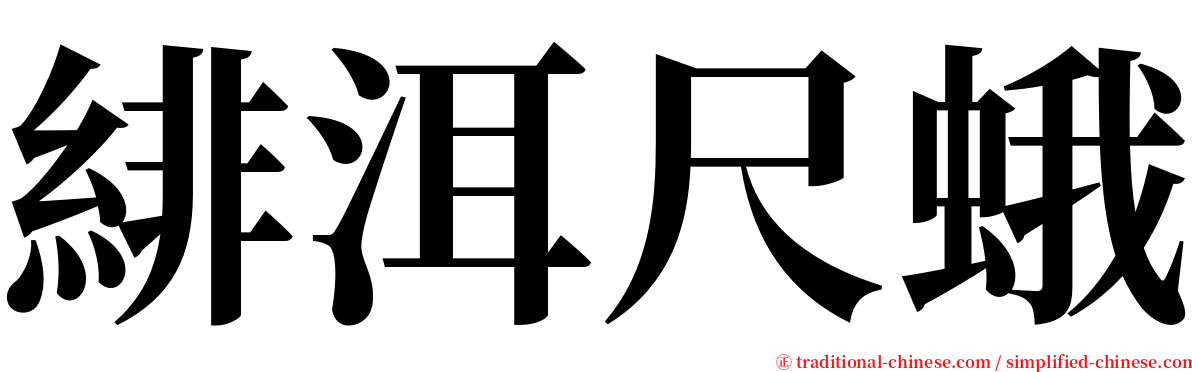 緋洱尺蛾 serif font