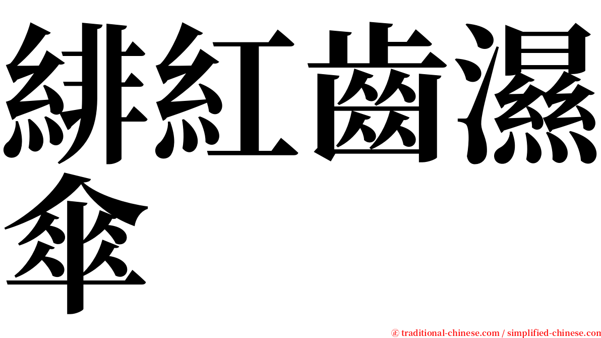 緋紅齒濕傘 serif font