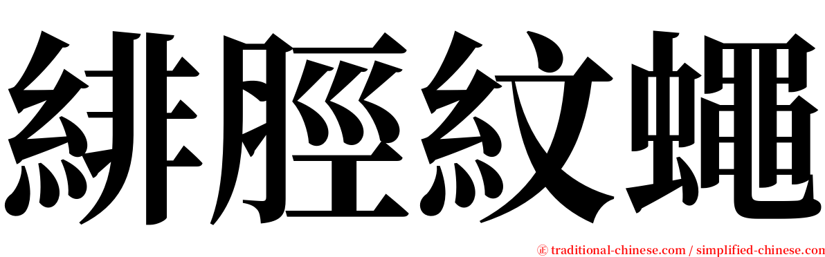 緋脛紋蠅 serif font