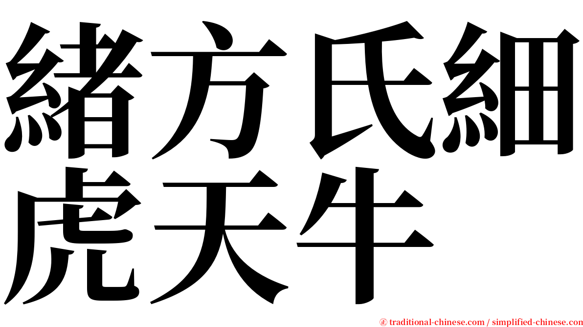 緒方氏細虎天牛 serif font