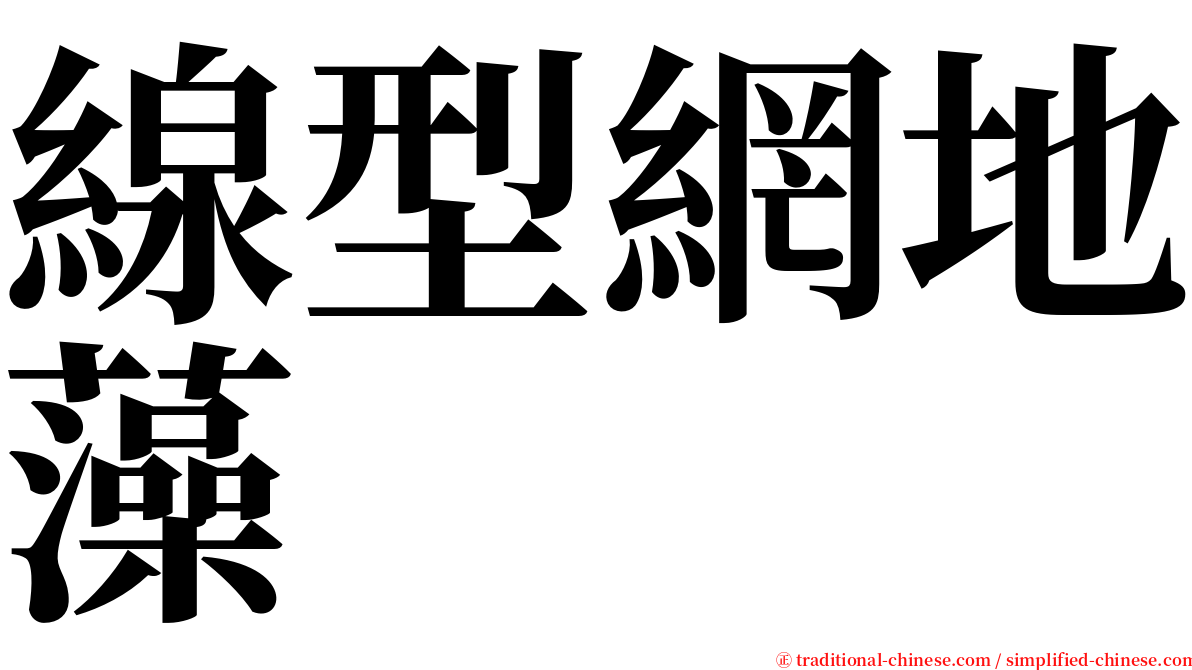 線型網地藻 serif font