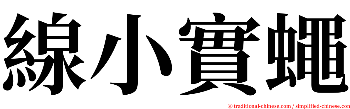 線小實蠅 serif font