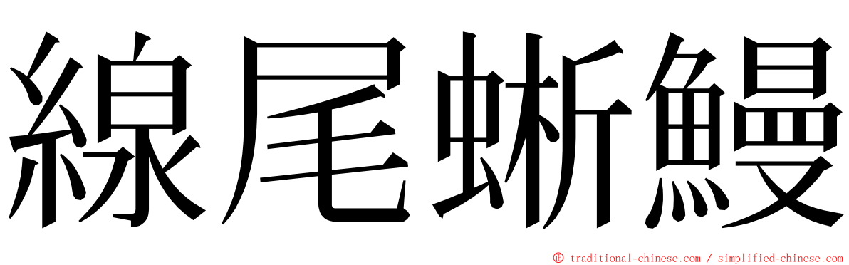 線尾蜥鰻 ming font