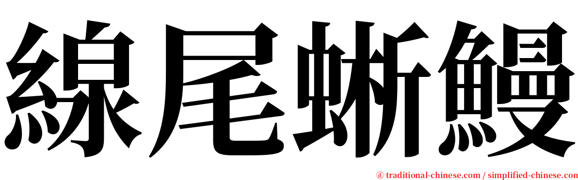 線尾蜥鰻 serif font