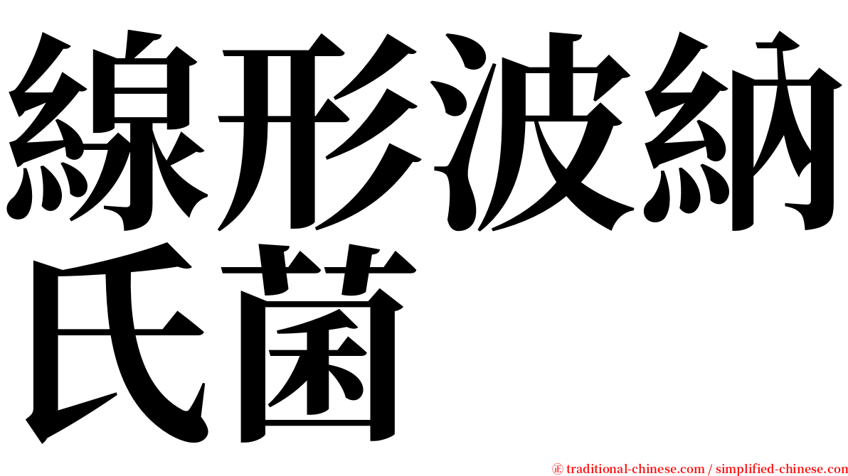 線形波納氏菌 serif font