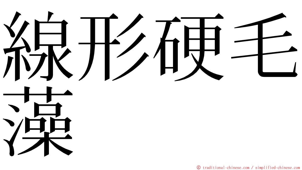 線形硬毛藻 ming font