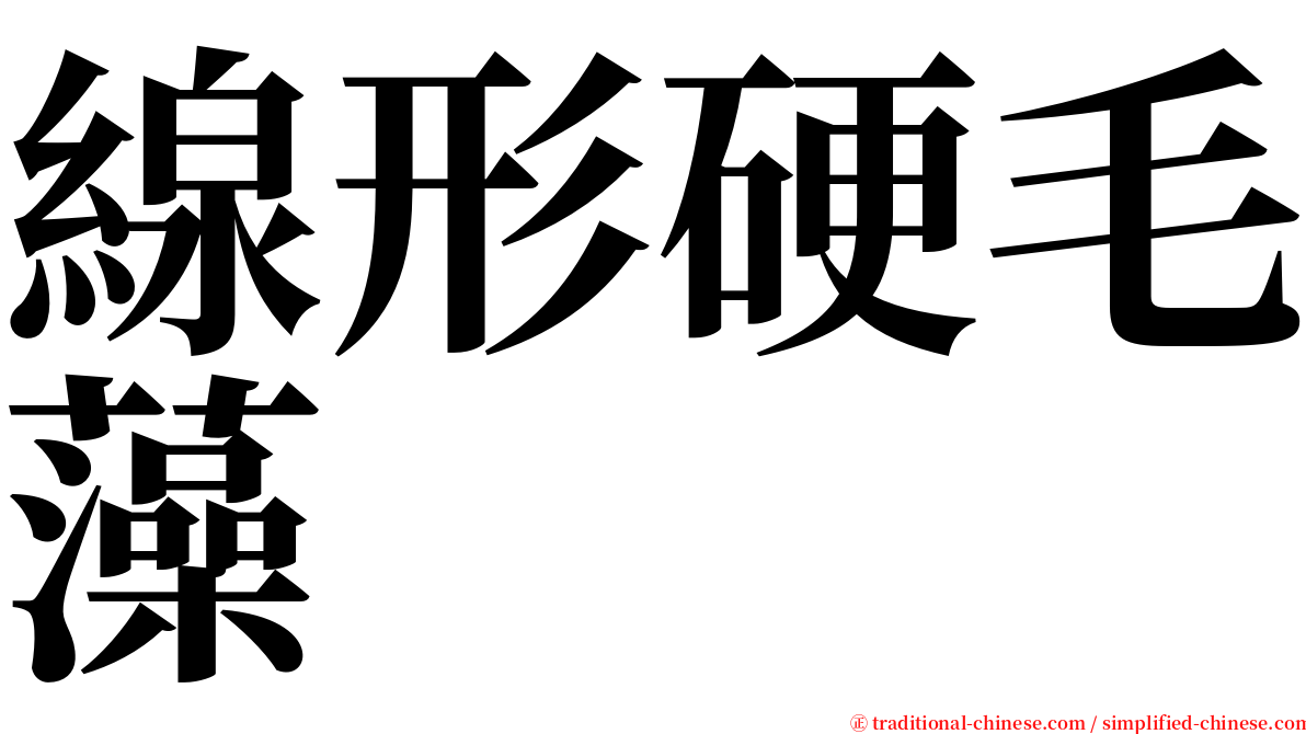 線形硬毛藻 serif font