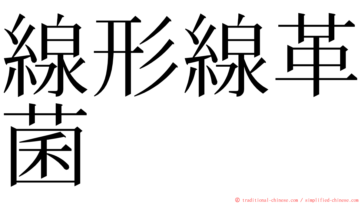 線形線革菌 ming font