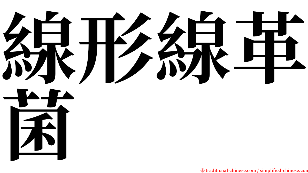 線形線革菌 serif font