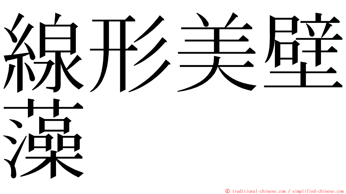 線形美壁藻 ming font