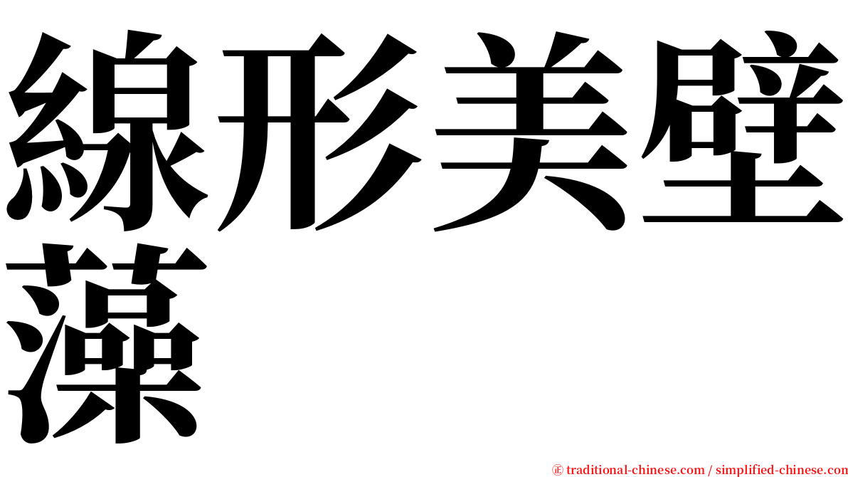 線形美壁藻 serif font