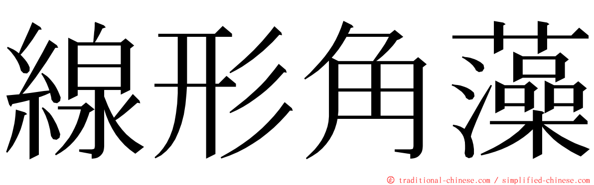 線形角藻 ming font