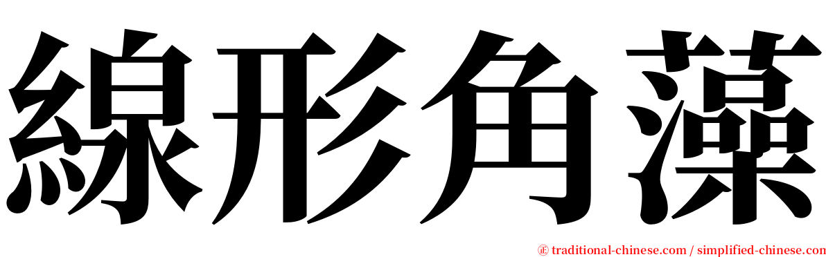 線形角藻 serif font