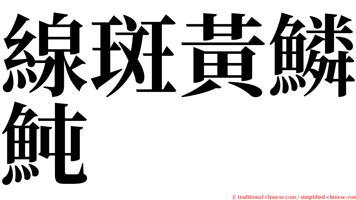 線斑黃鱗魨 serif font