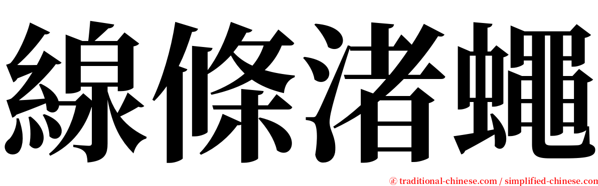 線條渚蠅 serif font