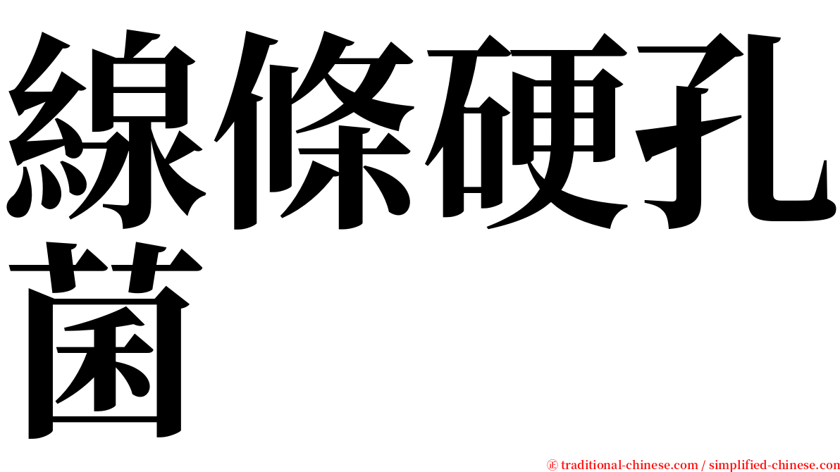 線條硬孔菌 serif font