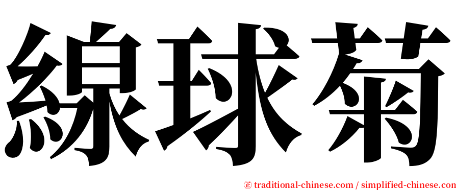 線球菊 serif font