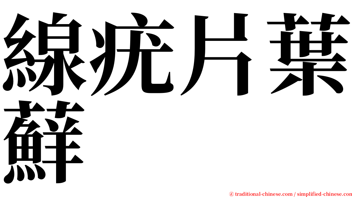 線疣片葉蘚 serif font