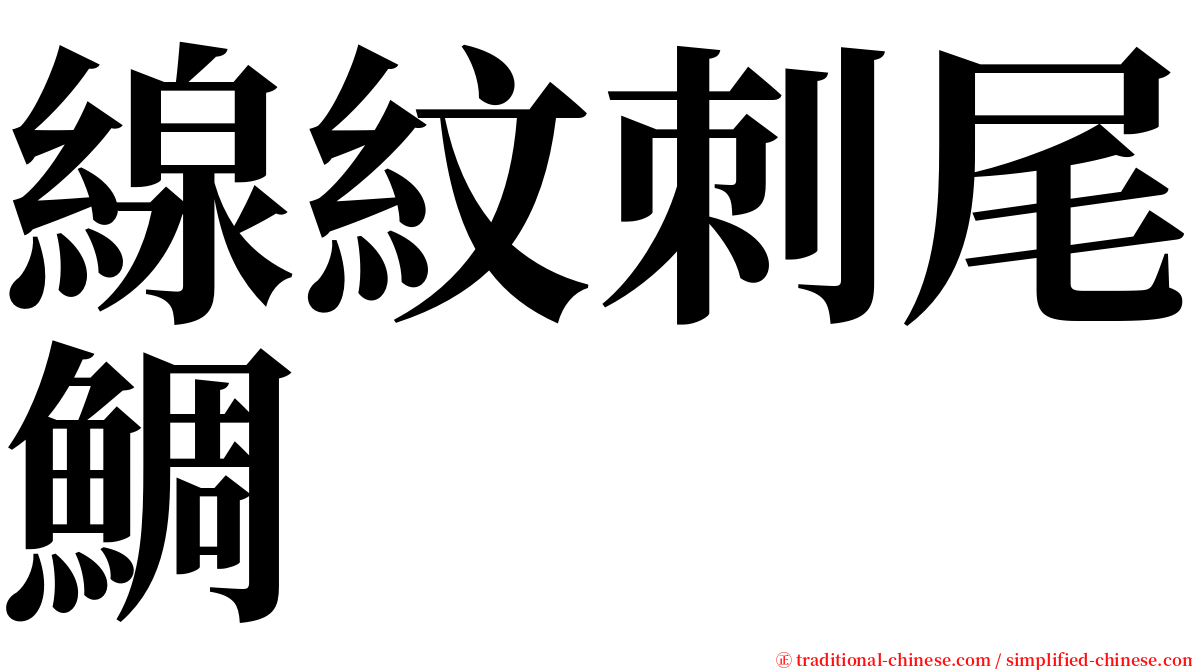 線紋刺尾鯛 serif font