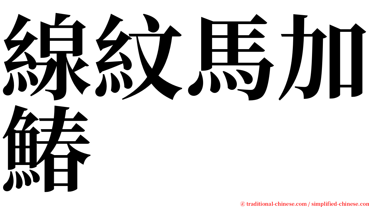 線紋馬加鰆 serif font