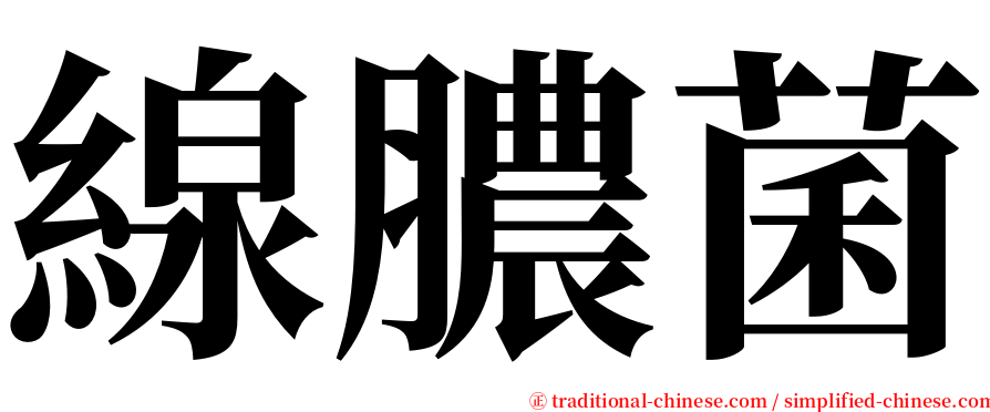 線膿菌 serif font