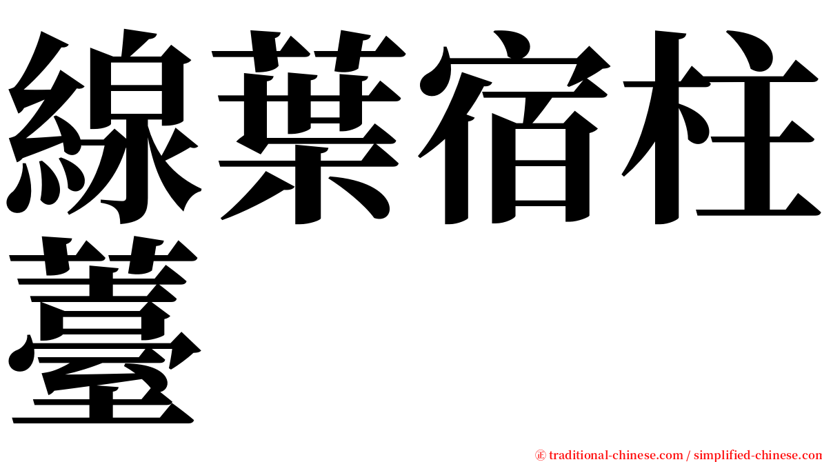 線葉宿柱薹 serif font